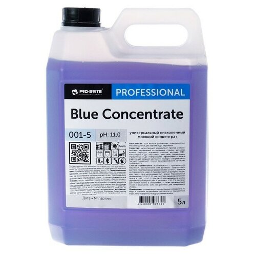 Моющий концентрат Blue Concentrate, 5л 4965584