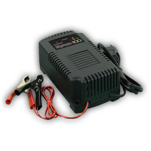 Автомобильное зарядное устройство Кулон 100 285000₽