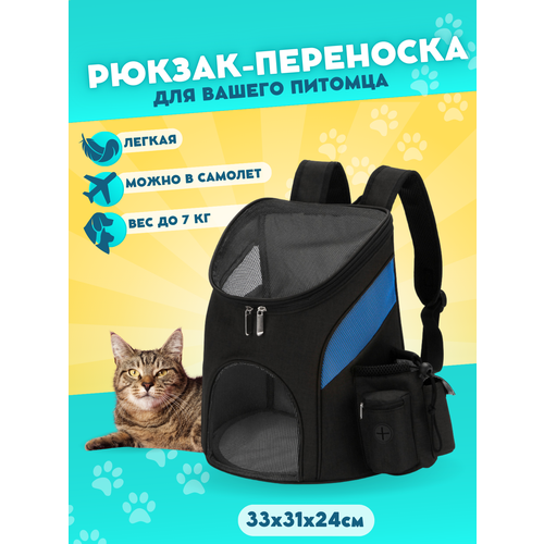 Рюкзак-переноска для животных, кошек, собак с сеткой, черный