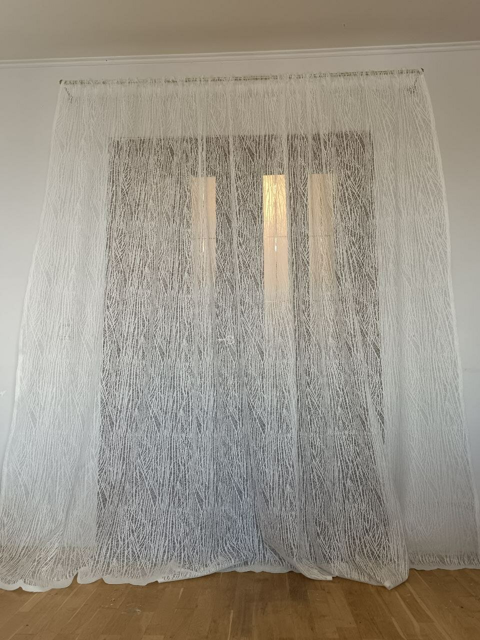 фото Ветка на ленте