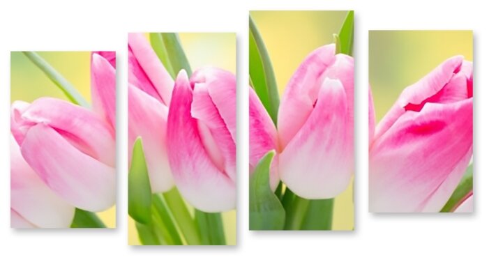 Модульная картина на холсте "Розовые тюльпаны" 90x50 см