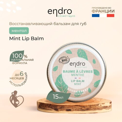 Восстанавливающий бальзам для губ Endro Mint Lip Balm, ментол, 15 мл, 100% натуральные ингредиенты, для сухих и потрескавшихся губ, сделано во Франции