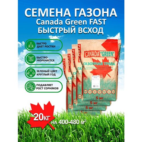 Газонная трава семена Канада Грин Быстрорастущий FAST 20 кг/ мятлик, райграс, овсяница семена для газона газонная смесь dlf waterless 7 5 кг