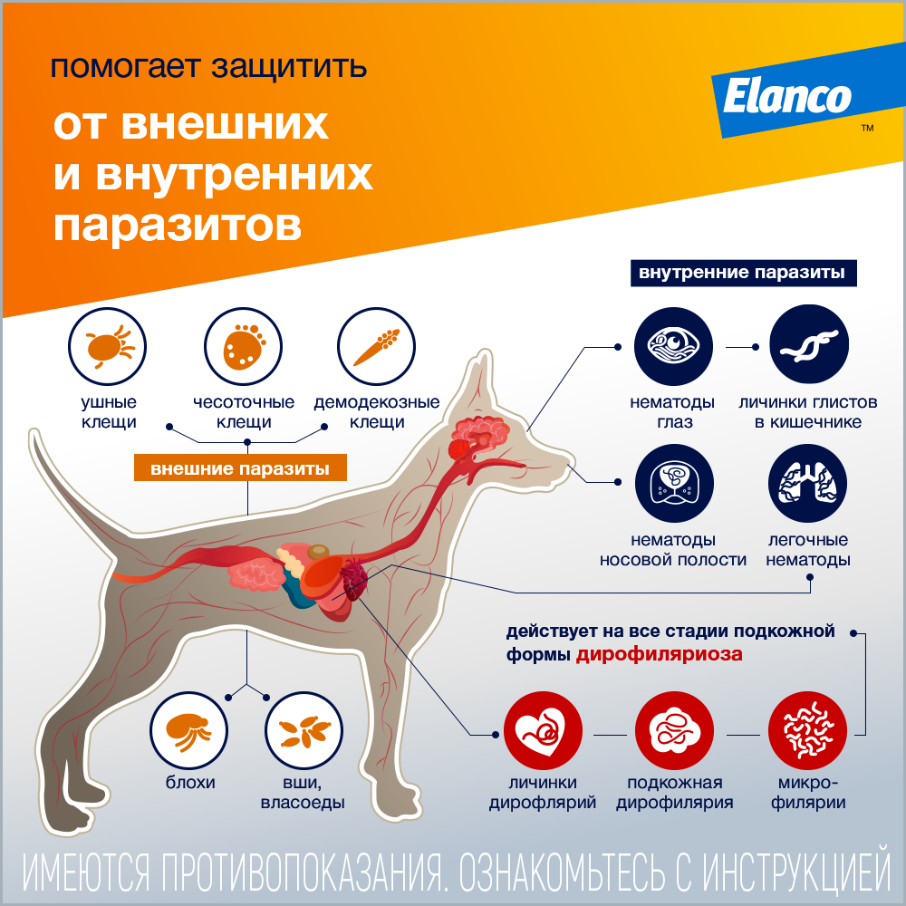 Препарат для собак BAYER - фото №3