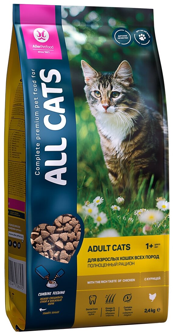 ALL CATS корм сухой для взрослых кошек с курицей, пп, 2,4 кг - фотография № 4