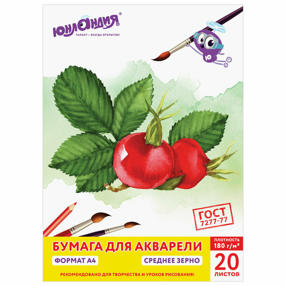 фото Предфильтр противоаэрозольный UNIX марка Р2 2 шт/уп