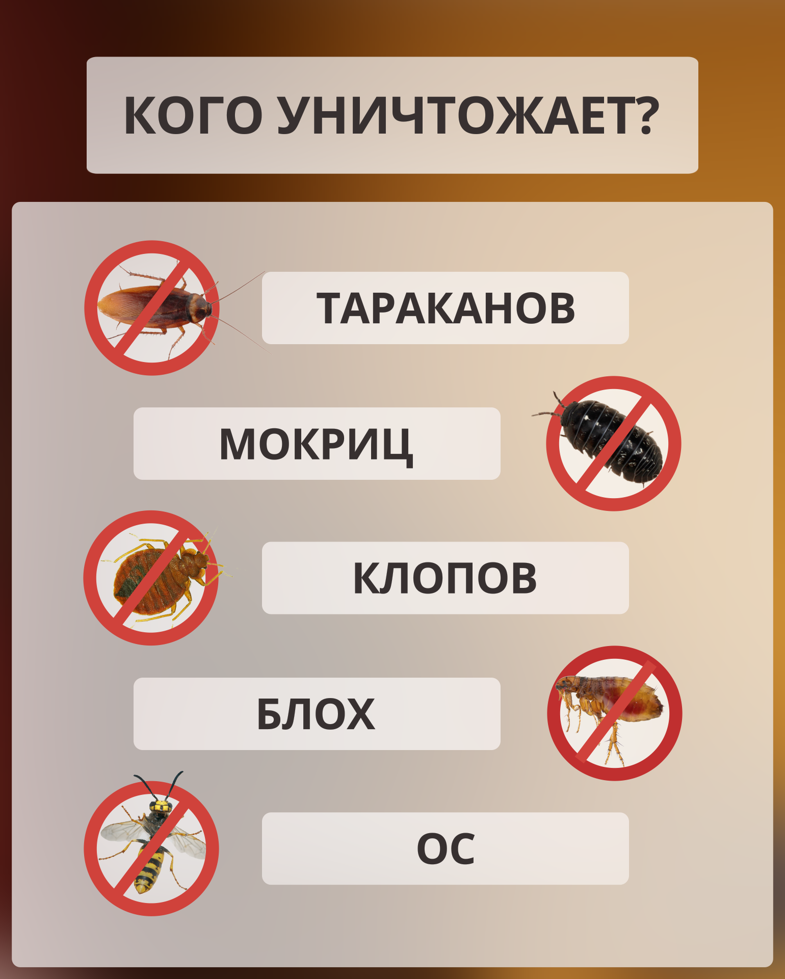 Средство от тараканов и клопов Гектор (Gektor), жидкий концентрат, 2 шт по 50 мл — фото 1