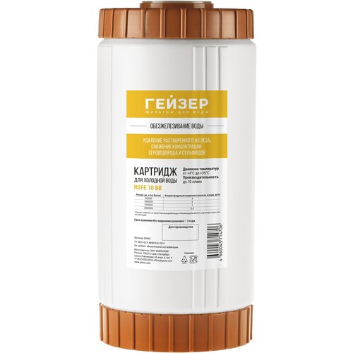 Гейзер Картридж RSFE 10BB