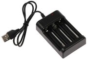 Luazon Home Зарядное устройство для трех аккумуляторов АА UC-25, USB, ток заряда 250 мА, чёрное