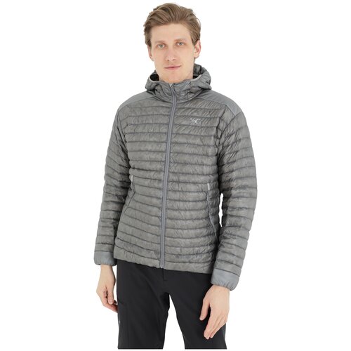 Куртка для активного отдыха Arcteryx Cerium Sl Hoody Mens Pegasus (US:L)