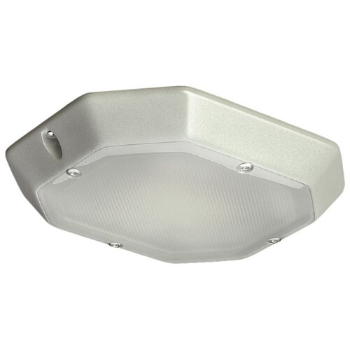 Светодиодный светильник Ecolight EcoPro накладной EL-ДПО-12-008-0194-65Н 0194 16004904 2378₽