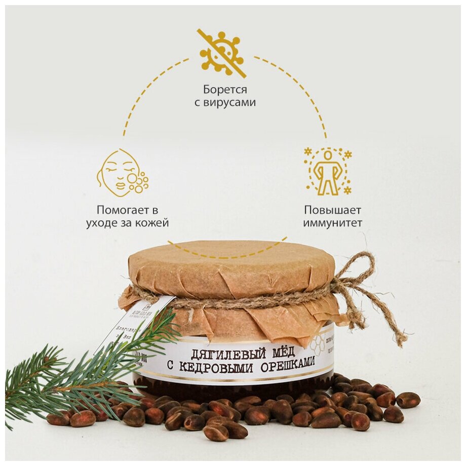 Живой дягилевый мёд с кедровыми орешками, натуральный и фермерский эко продукт - фотография № 2