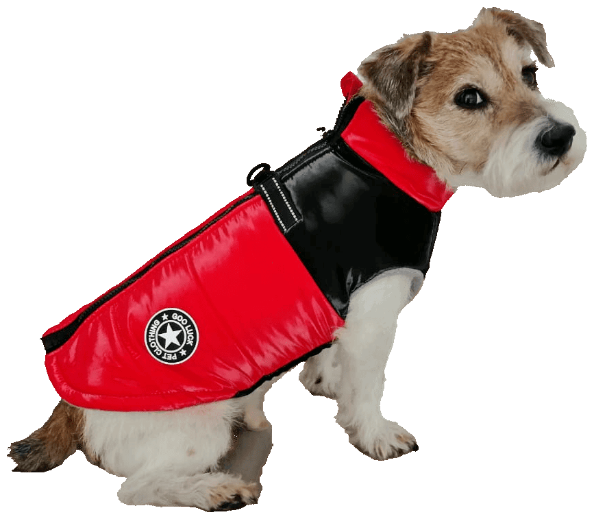 Одежда для собак мелких и средних пород на флисовой подкладке цвет красный глянцевый, куртка размер L, жилет для собак зима весна - фотография № 8