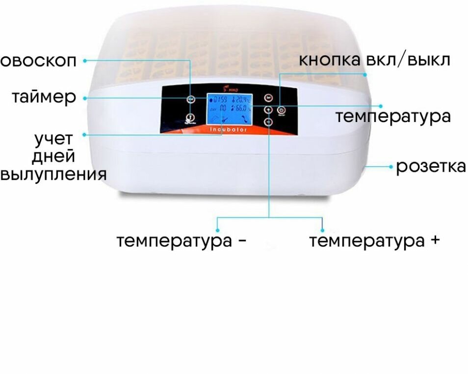 Инкубатор автоматический с овоскопом на 56 яиц кур/перепелов HHD - фотография № 4