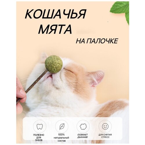 Игрушка для кошек из натуральной кошачьей мяты шарик/Мятный мячик/Шар из кошачьей мяты кошачья мята шарик леденец