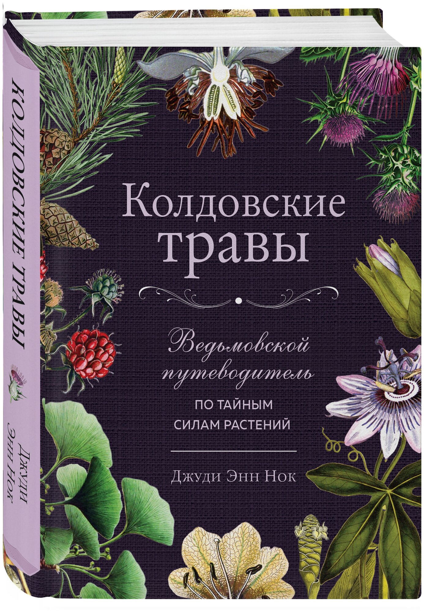 Колдовские травы: Ведьмовской путеводитель по тайным силам растений