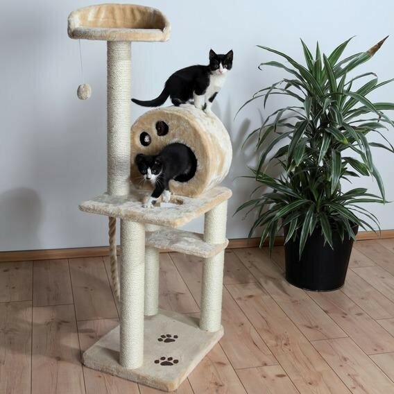 Домик-когтеточка для кошек Trixie Salamanca, размер 40х50х138см, бежевый