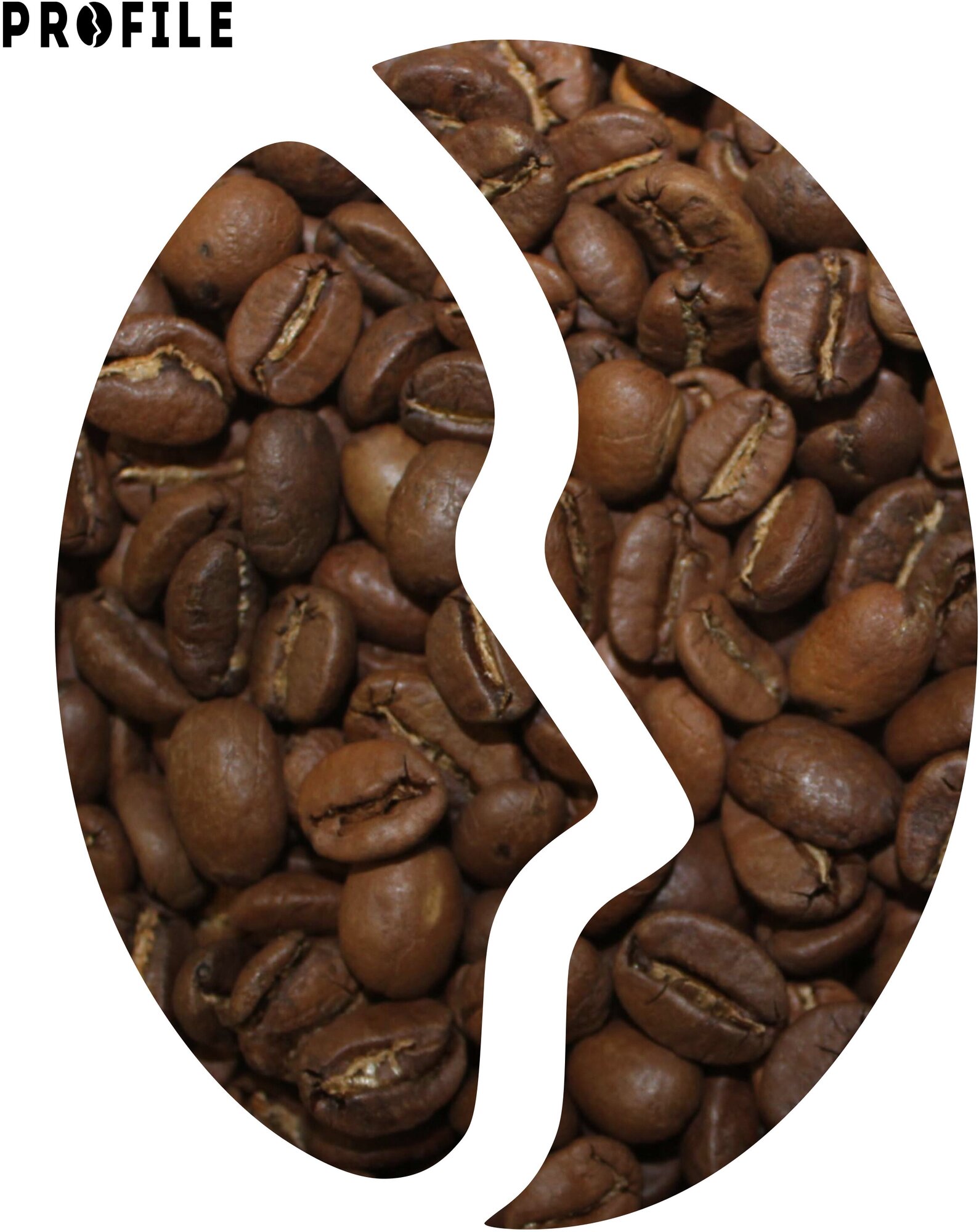 Кофе в зернах PROFILE Premium Эфиопия Гуджи 1 кг под эспрессо арабика 100%