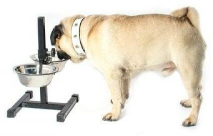 Кормушка-телескоп для собак Дарэлл "ЕСО"(профиль20*20см)30см,2*0,5л, D16см, черн, миски цилиндр. мет, разбор в короб