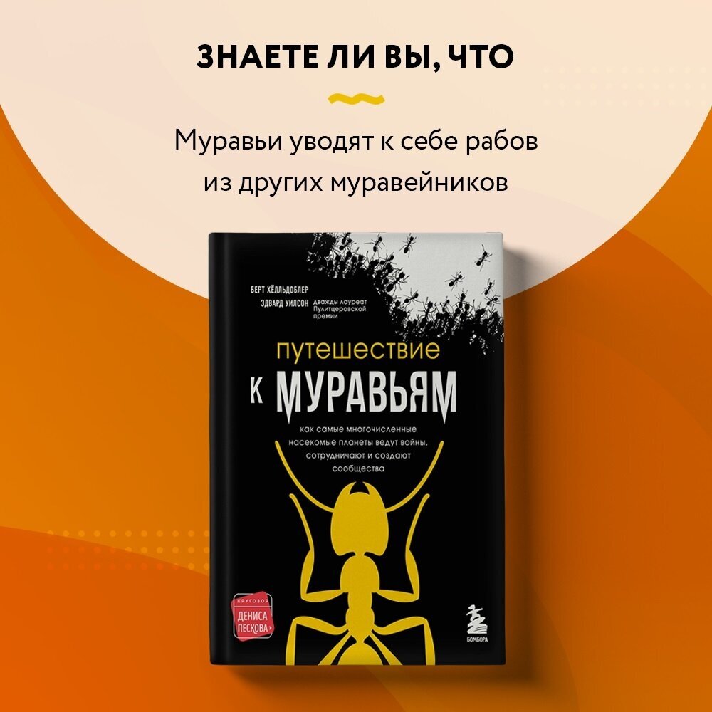 Путешествие к муравьям (Эдвард Уилсон, Берт Хёлльдоблер) - фото №6