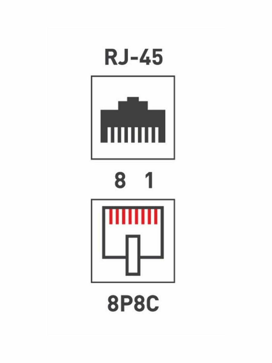 Розетка компьютерная REXANT RJ-45, 2-портовая, CAT5e, белая, 1 шт — фото 1
