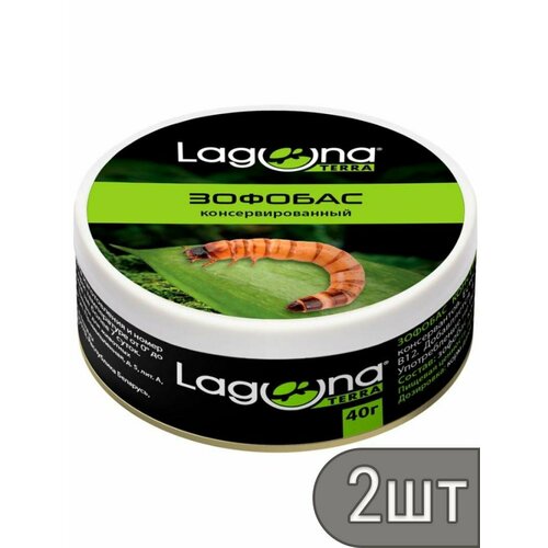Laguna Набор 2 шт Зофобас консервированный, 40г