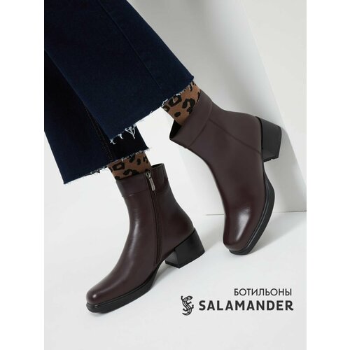 фото Ботильоны salamander, размер 36, бордовый