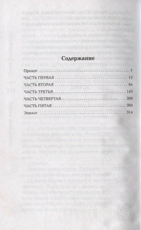 Кукла затворника (Володарская Ольга Геннадьевна) - фото №5