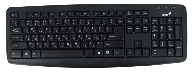 Клавиатура Genius KB-110X Black USB черный