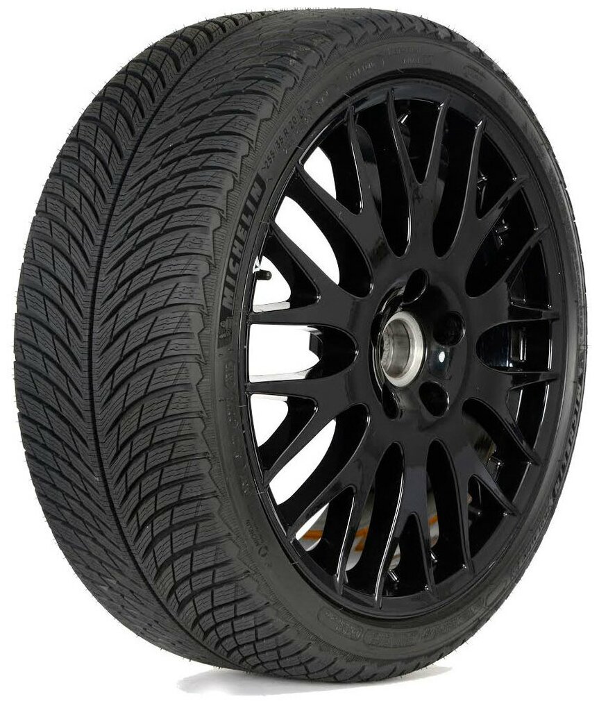 Шина 275/45R20 Michelin Pilot Alpin 5 SUV RunFlat * (BMW) 110V