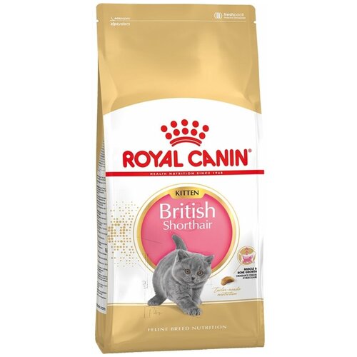 royal canin british shorthair kitten 34 для британских короткошерстных котят 2 кг х 6 шт Сухой корм для кошек Royal Canin British Shorthair Kitten для котят породы Британская короткошерстная от 4 до 12 месяцев 400 г