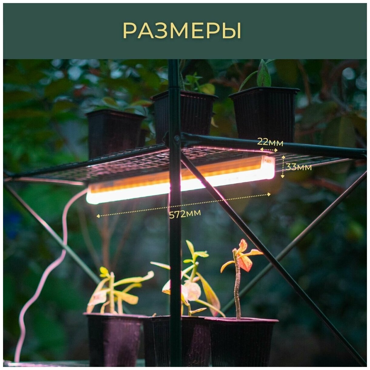 Фитолампа для растений полный спектр/ светодиодная лампа для цветов и рассады - фотография № 10