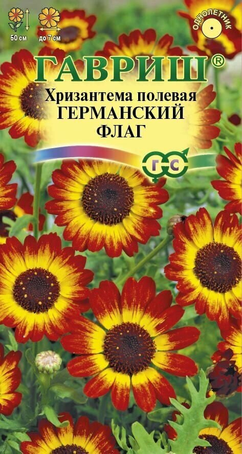 Семена цветов Хризантема Германский флаг (05 гр.)