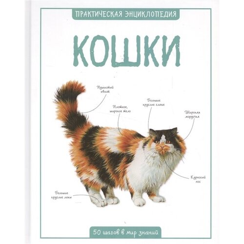 Кошки. Практическая энциклопедия. 50 шагов в мир знаний