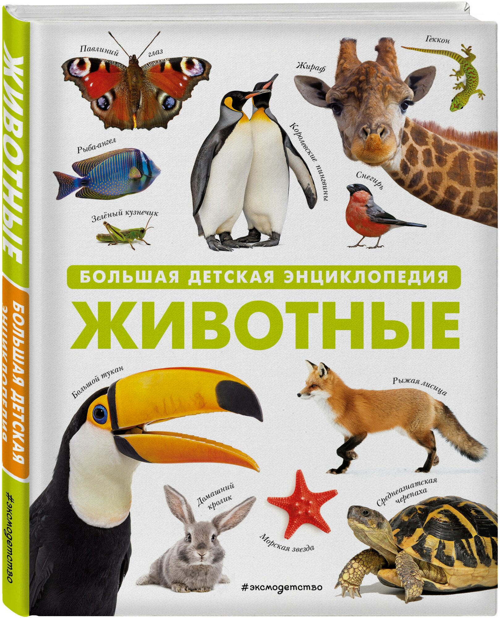 Животные. Большая детская энциклопедия - фото №1