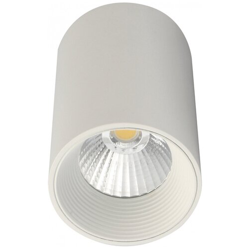 Светильник трековый, спот Escada 20003, 20003SMU/01LED SWH, 8W, LED