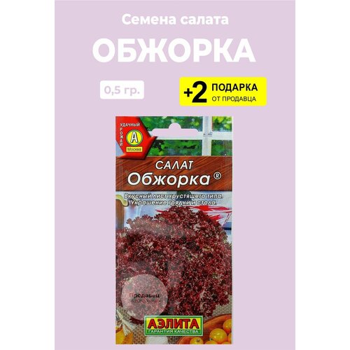 Семена Салат 