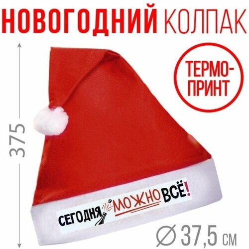 Колпак Деда Мороза новогодний Сегодня можно всё!