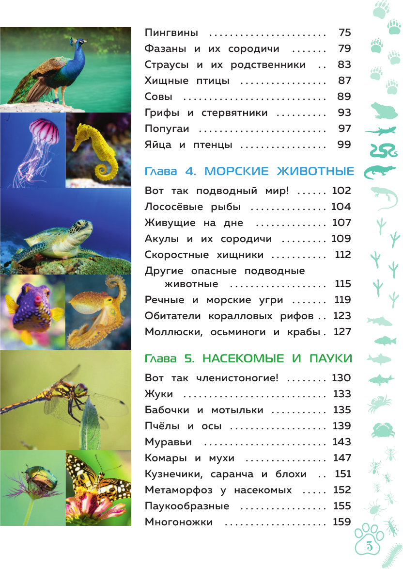 Животные. Большая детская энциклопедия - фото №12