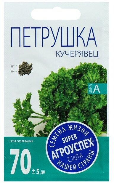 Семена Агроуспех Петрушка кудрявая Кучерявец 2 г — фото 2