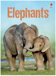 Elephants / Книга на Английском