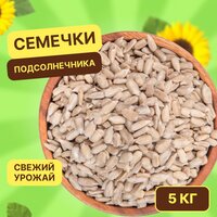 Лучшие Семечки подсолнечника сырые