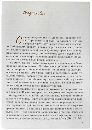 Огнь пылающий. Житие священномученика Андроника (Никольского), архиепископа Пермского и Кунгурского - фото №2