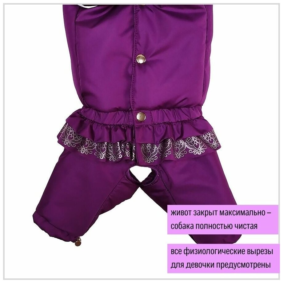 Зимний комбинезон для собак мелких пород (для девочки) "Dilai" LACE костюм ML фиолетовый - фотография № 6