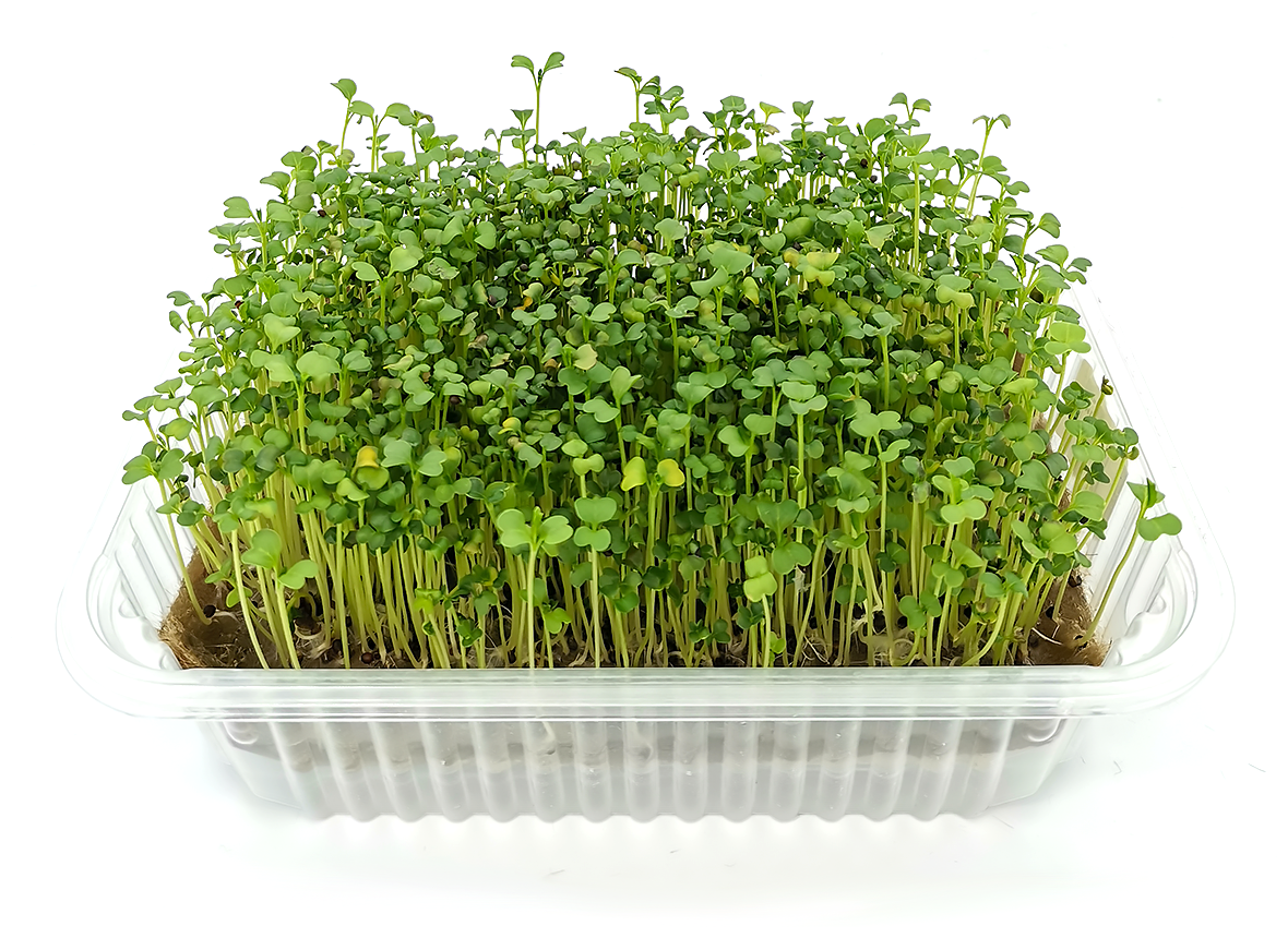 Коврики для проращивания микрозелени и семян 100% Лен 24 шт. + 3 двойных лотка - фотография № 2