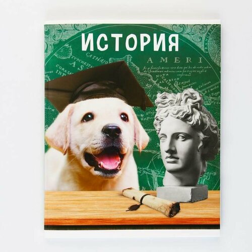 Тетрадь предметная ArtFox STUDY Милые питомцы - История, 48 листов, на скобе, А5, 1 шт.