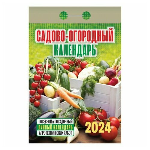 Отрывной календарь на 2024, Сад и огород под луной, ОКГ0524, УТ-202235 календарь магнитный сад и огород отрывной с вырубкой 14х15см