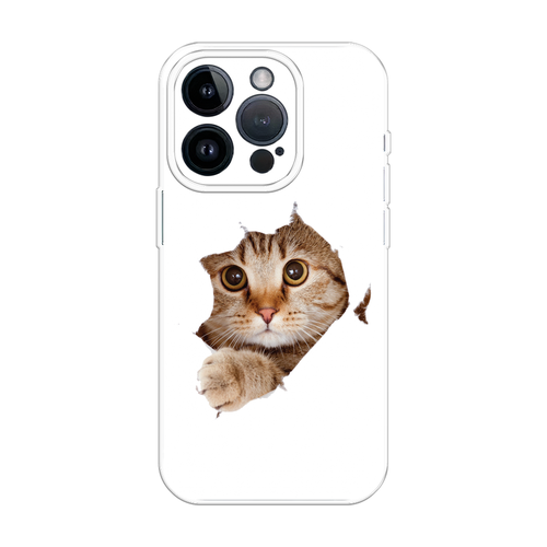 белый, коричневый