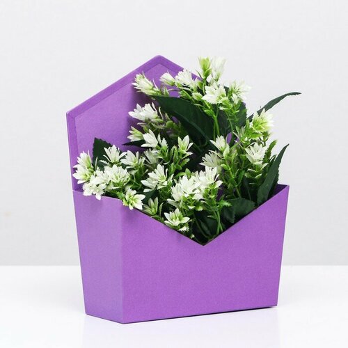 Конверт трапеция однотонный фиолетовый 195х 23 х 8 см 423₽