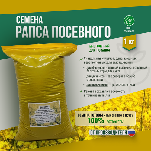 фото Семена рапса - 1 кг мосагрогрупп